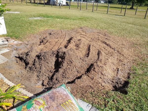 Rob Stump Grinding