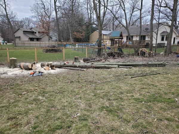 Koehn Tree Works LLC