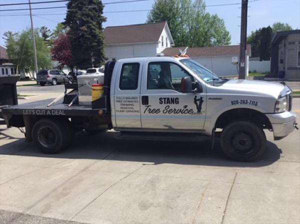 Stang Tree Service