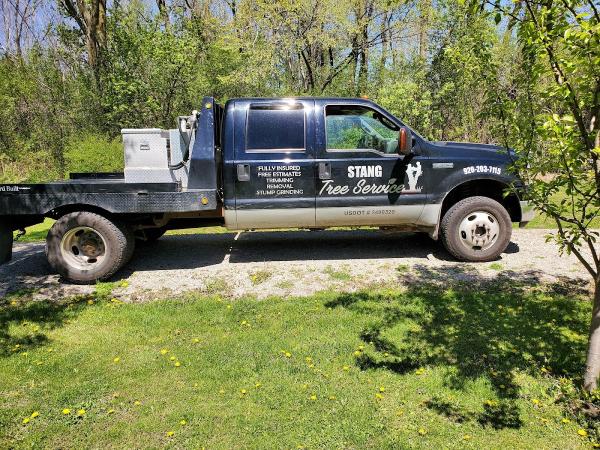 Stang Tree Service