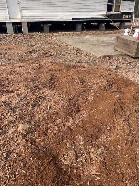 Foldes Stump Removal