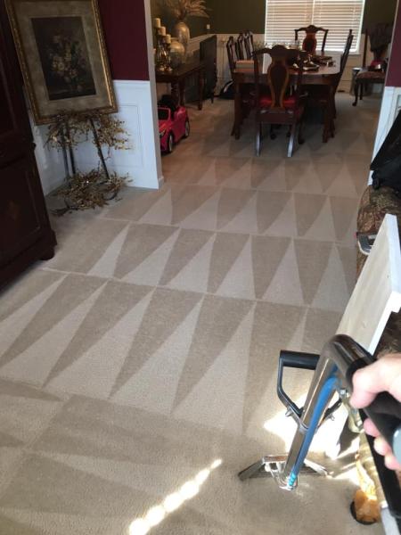 Xgerminator Carpet Cleaning
