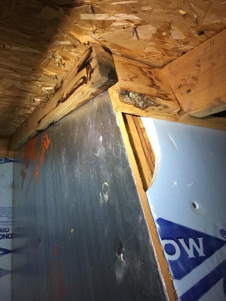 Capital City Home Inspections