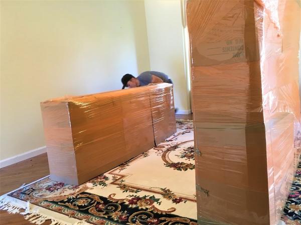Vector Movers NJ