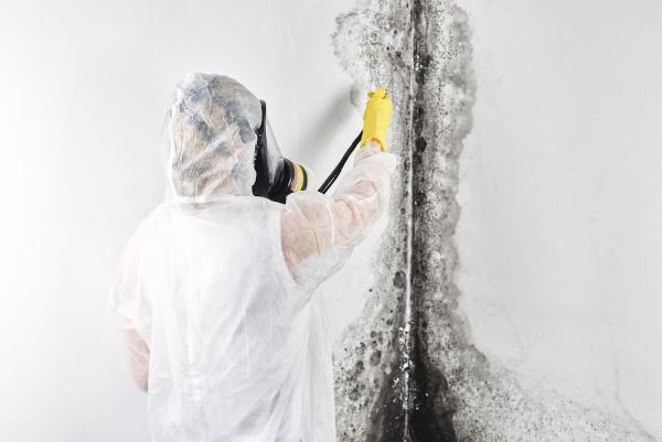 God Expansion Unlimited Cleaning