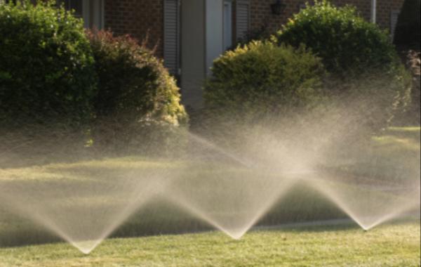 Robert Rosa Irrigation Services