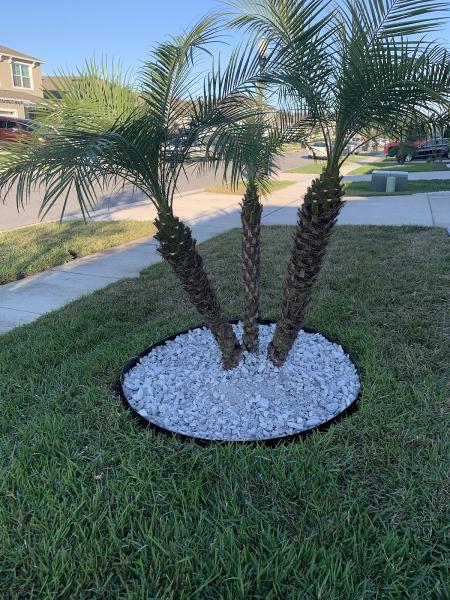 Oscape Lawn & Landscaping