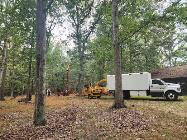 Old Town Tree and Landscaping LLC