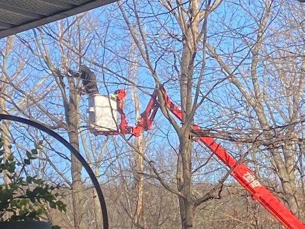 Old Town Tree and Landscaping LLC