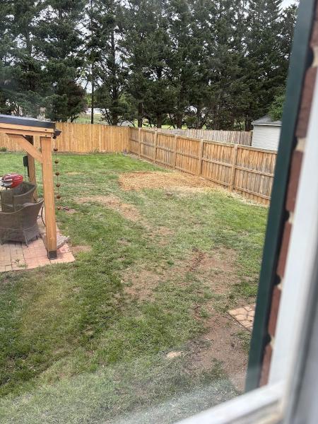 Old Town Tree and Landscaping LLC