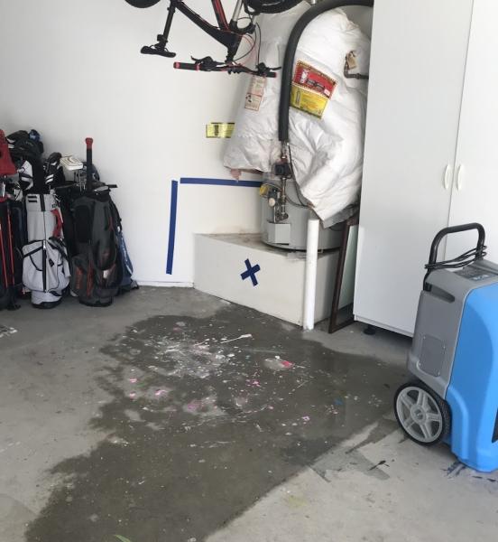 Rapid Clean Restoration