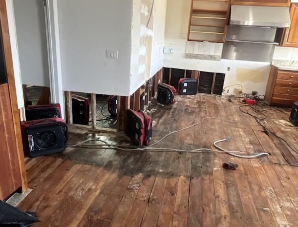 Rapid Clean Restoration