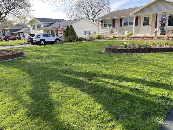 Brockman Tree & Lawn Care