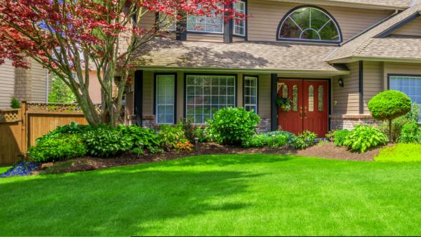 Brockman Tree & Lawn Care