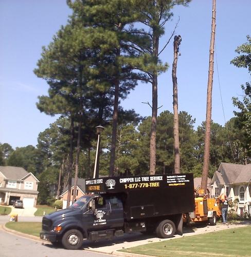 Chipper LLC Tree Service