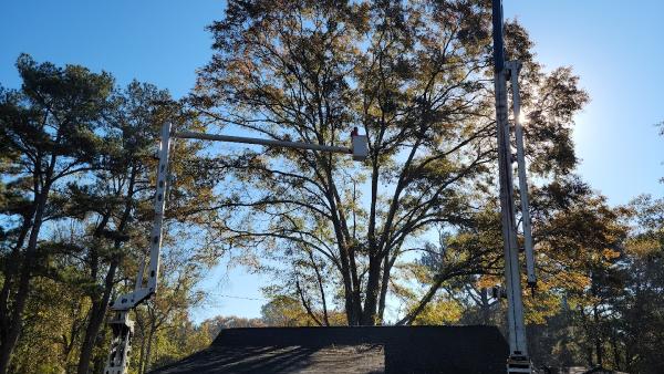 A&C Tree