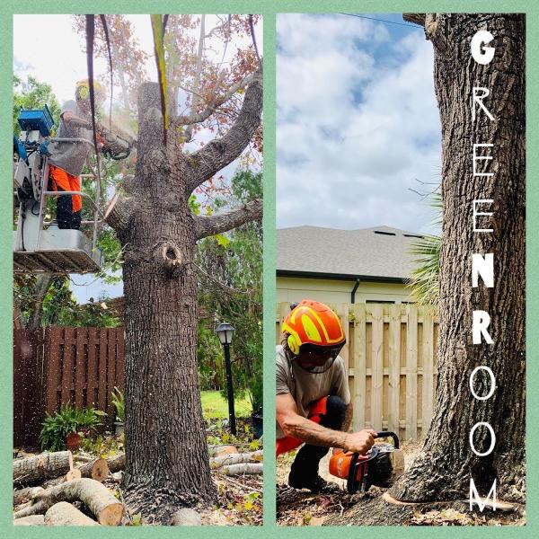 Green Room Tree Care