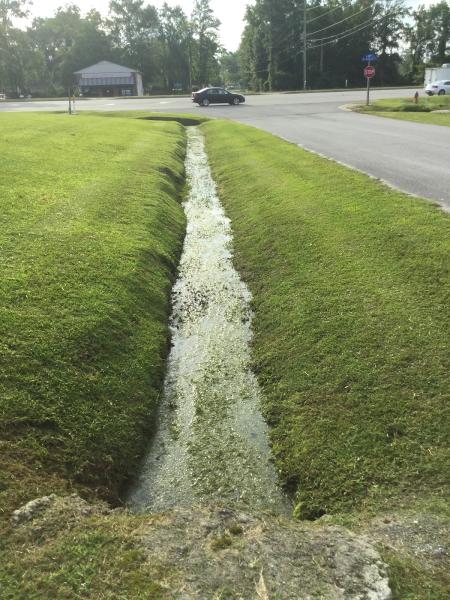 Paul's Precision Lawn Service