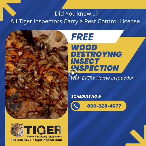 Tiger Home & Building Inspections
