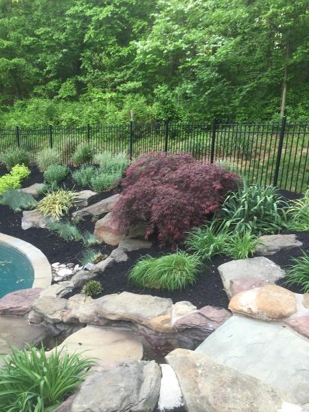 Absolute Landscape & Turf Services