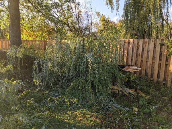 Hometown Tree Service