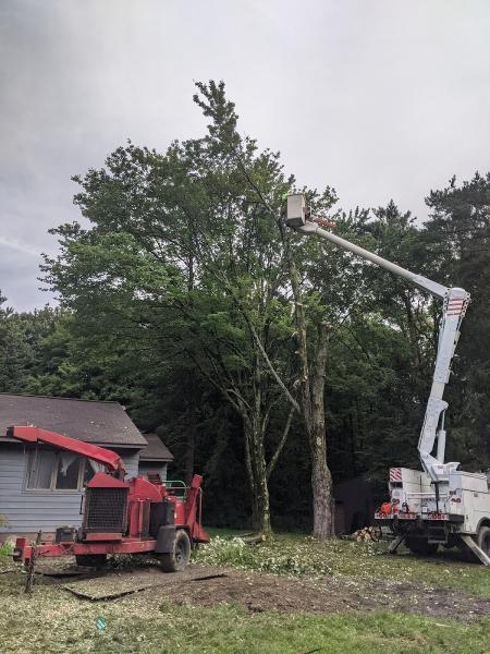 Hometown Tree Service