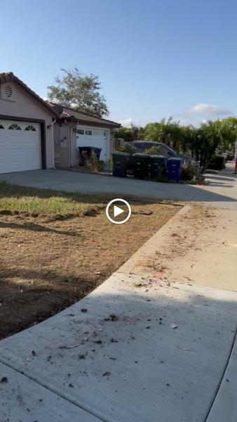 Castillo Landscaping