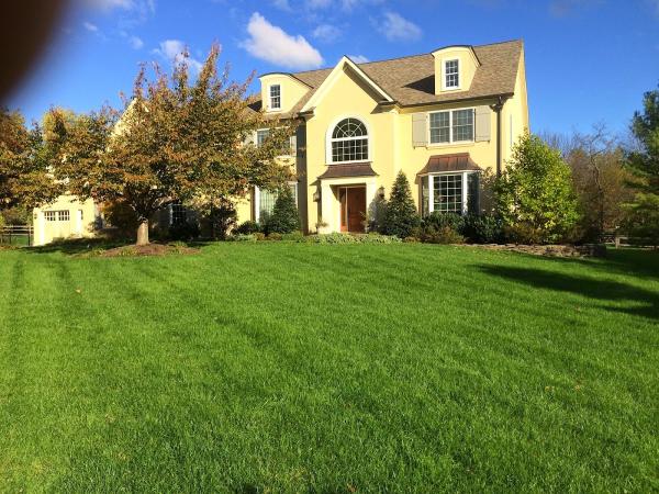 Messina Lawn Care