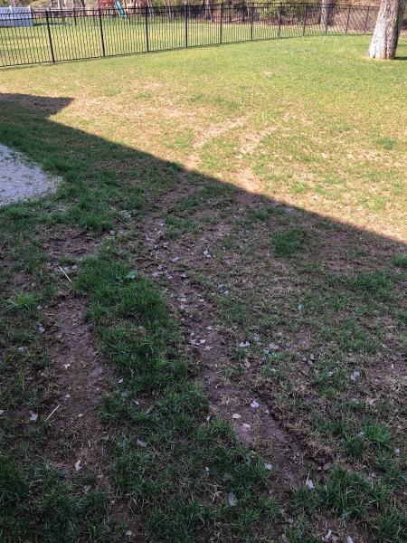Messina Lawn Care