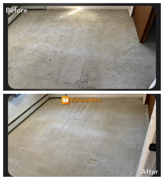 Bone Dry Carpet Cleaning