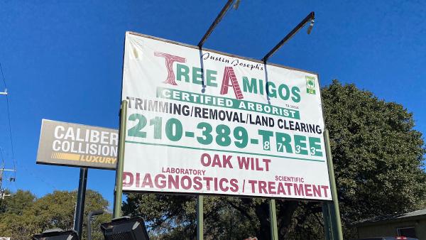 Tree Amigos Tree Service