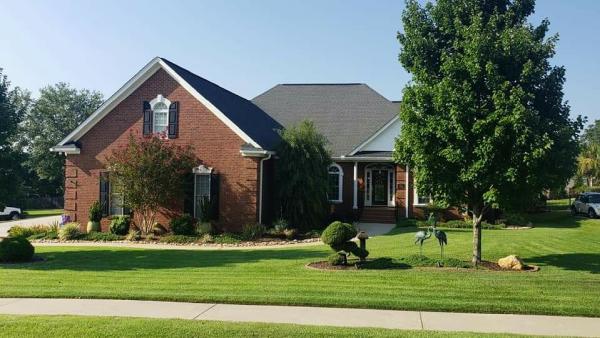 Clean Cut Lawn Pro Lawn Care and Landscaping