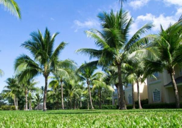 Bonita Lawn Care LLC
