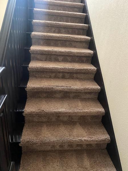 EKO Carpet Cleaning