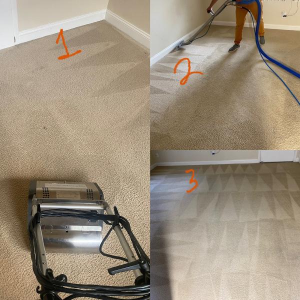 EKO Carpet Cleaning