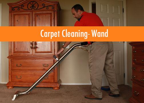 Doctor Steamer Carpet Cleaning