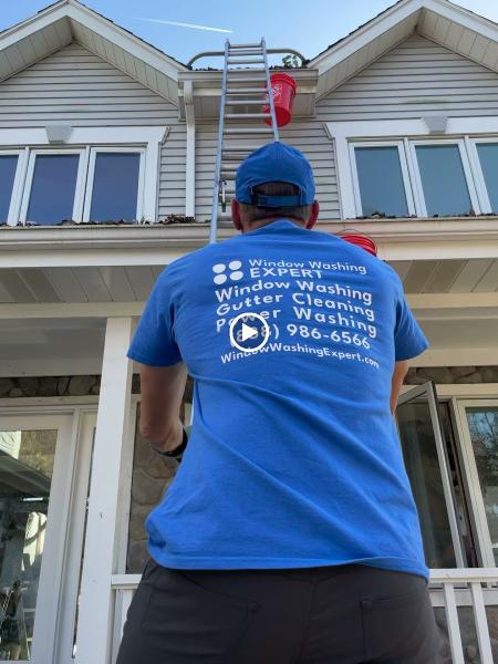 Window Washing Expert