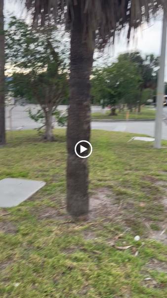 Central Florida Land Surveying