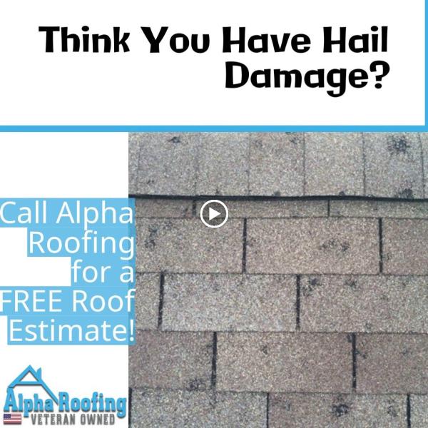 Alpha Roofing