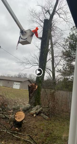 K&M Dirtworks & Tree Service