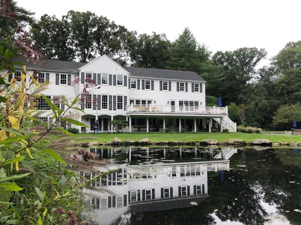 Look Outside Window & Exterior Cleaning