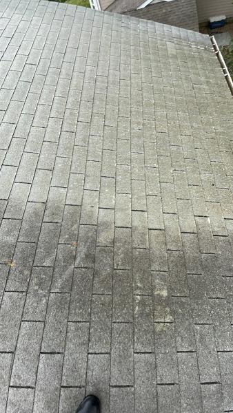 Look Outside Window & Exterior Cleaning