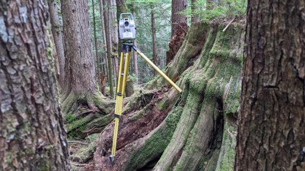 Williams Land Surveying