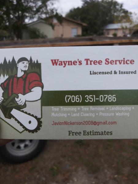Wayne's Tree Service