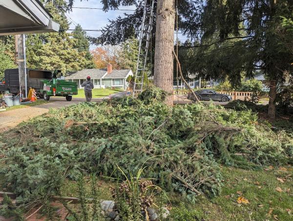 Quinn's Arbor Care