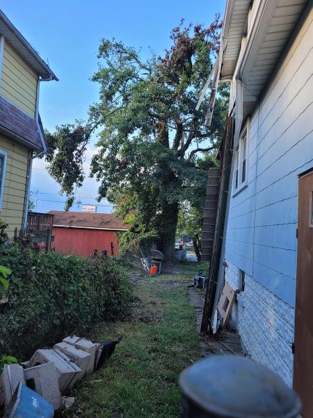 Allen & Sons Tree Service Inc