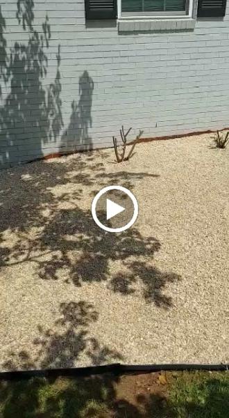 Vazquez Landscaping & Tree Services LLC