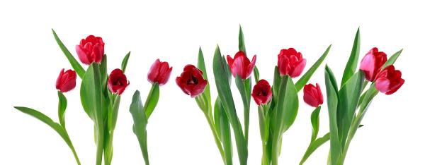 4 Seasons Landscaping & Maintenance