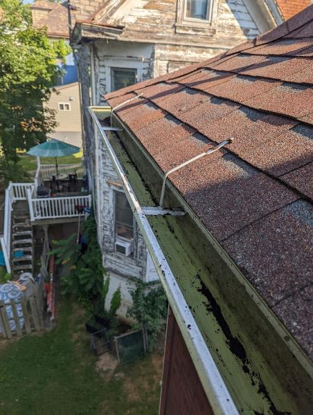 CD Window Cleaning
