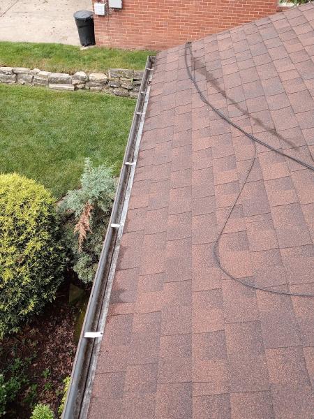 CD Window Cleaning